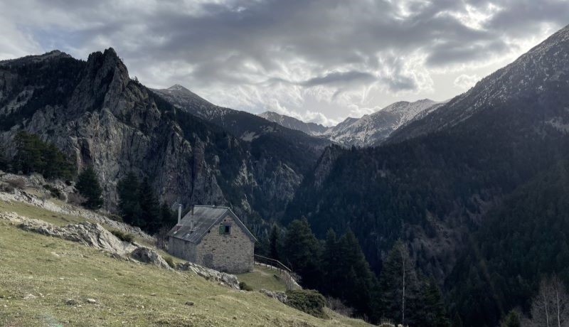 Blog Featured Image